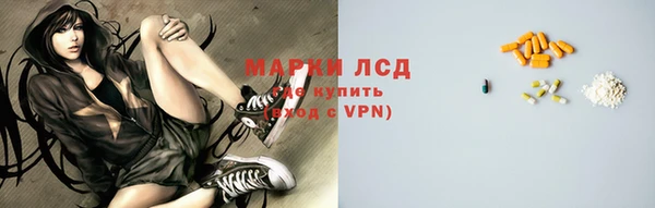 стаф Арсеньев