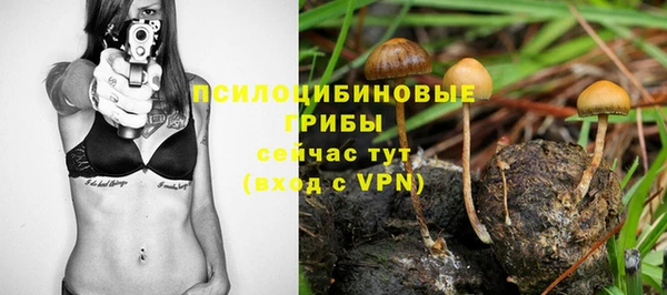 гашишное масло Няндома