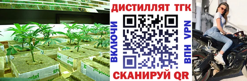 ОМГ ОМГ tor  Вельск  ТГК жижа 